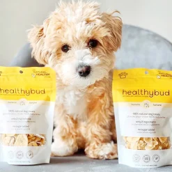 Healthybud Banana Chips Dog Treats 150 g