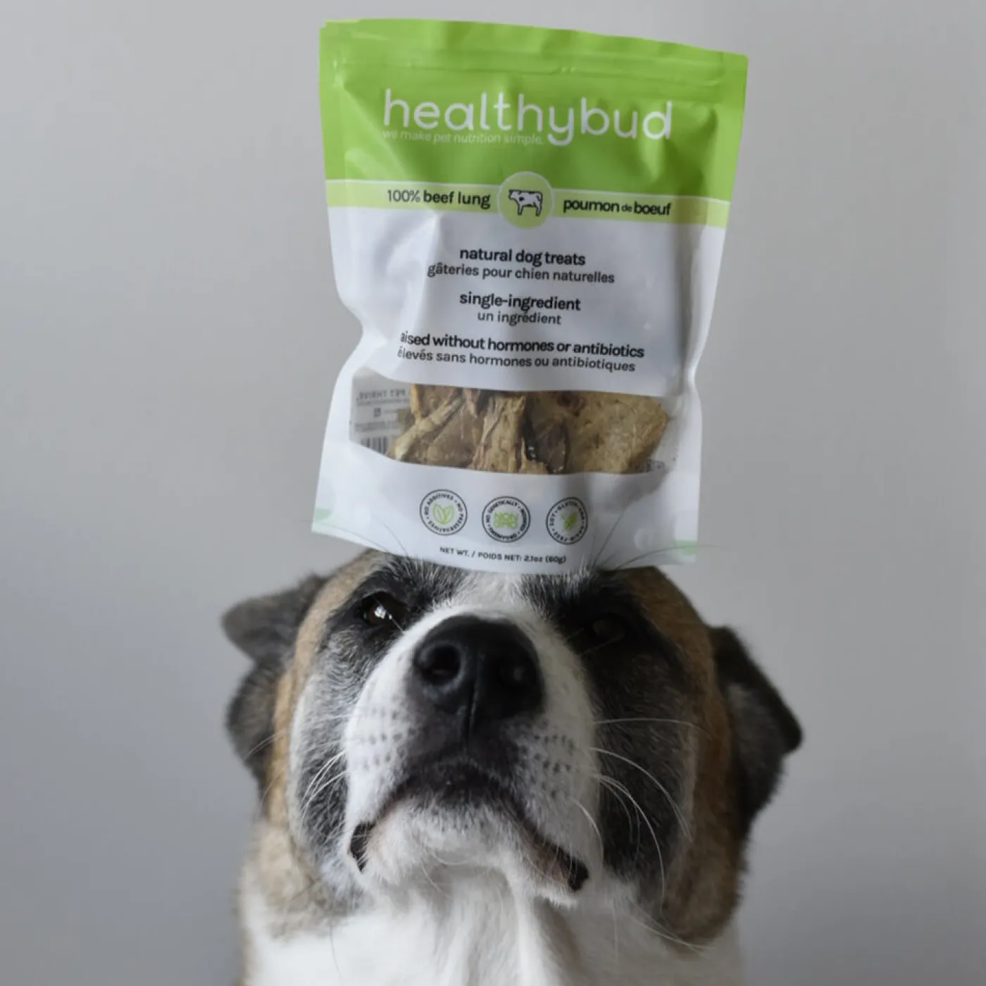 Healthybud Beef Lung Dog Treats 60 g