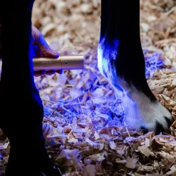 Horseware Ireland Horseware LED Red Light Therapy Wand