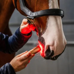 Horseware Ireland Horseware LED Red Light Therapy Wand