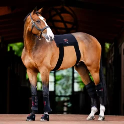 Horseware Ireland Horseware LED Red Light Therapy Pad
