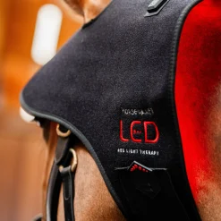 Horseware Ireland Horseware LED Red Light Therapy Poll Cap