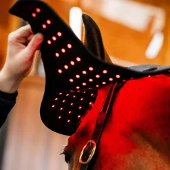 Horseware Ireland Horseware LED Red Light Therapy Poll Cap