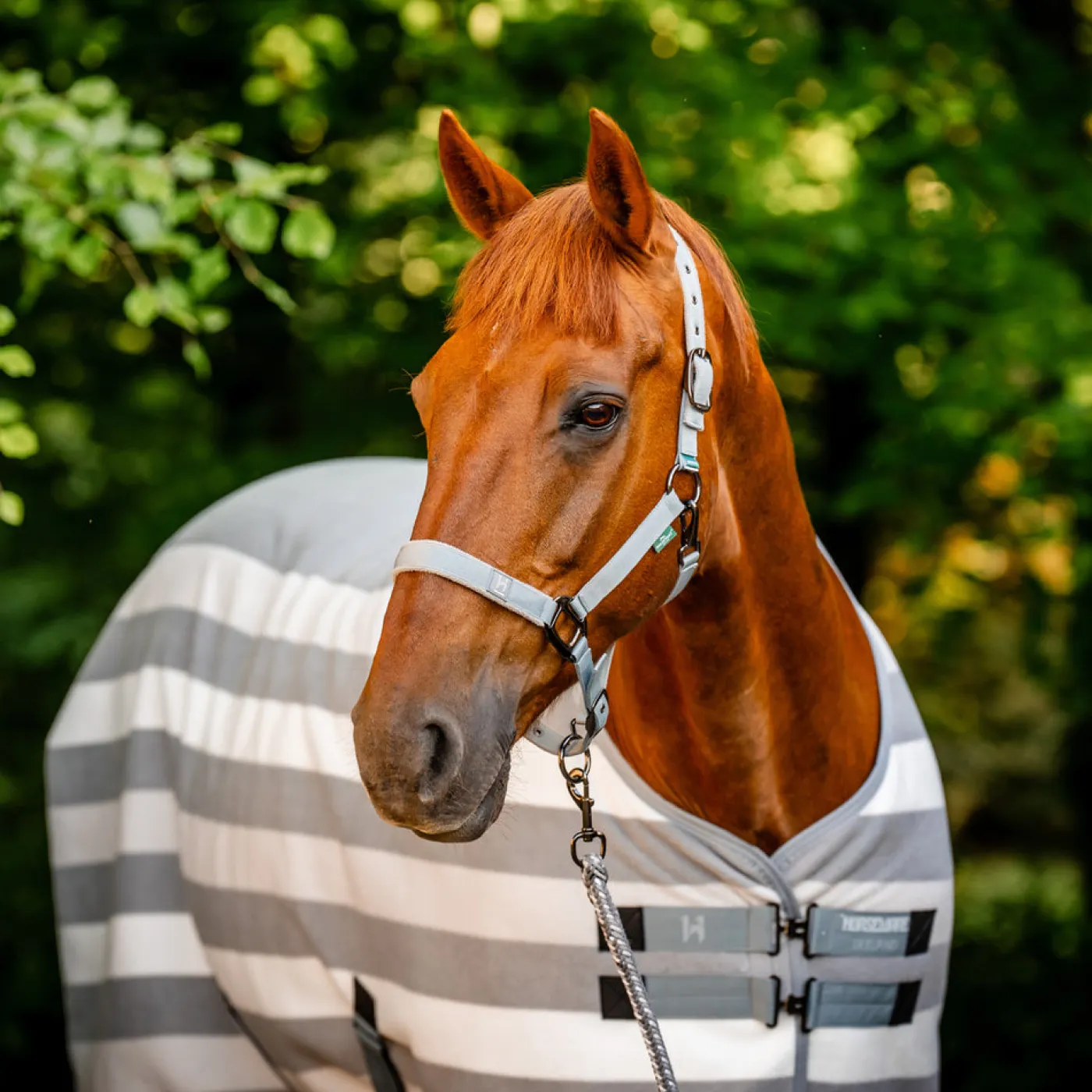 Horseware Ireland Horseware Newmarket Fleece Cooler