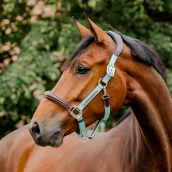 Horseware Ireland Horseware Signature Competition Halter