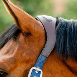 Horseware Ireland Horseware Signature Competition Halter