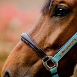 Horseware Ireland Horseware Signature Competition Halter