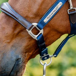 Horseware Ireland Horseware Signature Competition Halter
