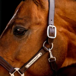 Horseware Ireland Horseware Signature Leather Halter