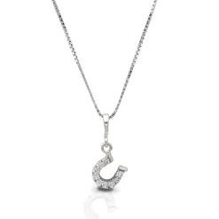 Kelly Herd Clear Dangle Horseshoe Necklace