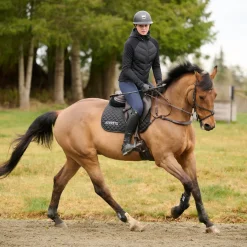 Women Kerrits Equi Tech Hybrid Hooded Jacket