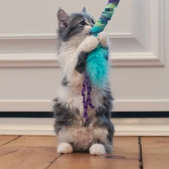 Kong Curlz Cat Teaser