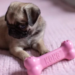 Kong Puppy Goodie Bone - Small