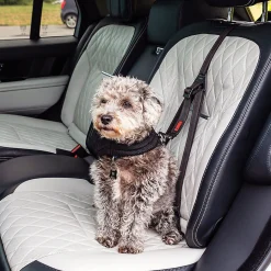 Kong Travel Ultimate Safety Tether