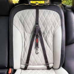 Kong Travel Ultimate Safety Tether