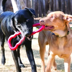 Kong Tug Toy