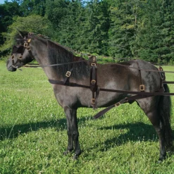 Jack's Leather Miniature Driving Harness