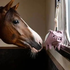 LeMieux Flying Pig Horse Toy