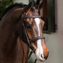 LeMieux Hunter Bridle W/ Reins