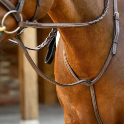 LeMieux Hunter Standing Martingale