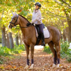 Women LeMieux Keira Quarter Zip Sweatshirt