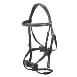 LeMieux Kudos Clear Arc Bridle