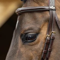 LeMieux Kudos Competition Flash Bridle