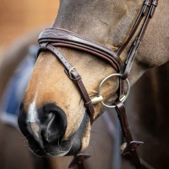 LeMieux Kudos Competition Flash Bridle
