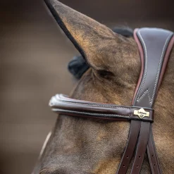 LeMieux Kudos Competition Flash Bridle