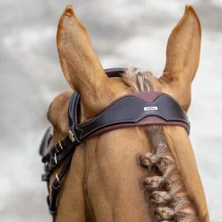 LeMieux Kudos Competition Flash Bridle