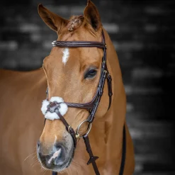 LeMieux Kudos Grackle Bridle