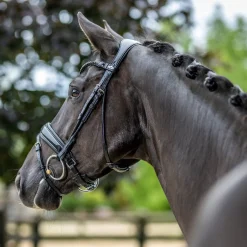 LeMieux Kudos Patent Dressage Bridle