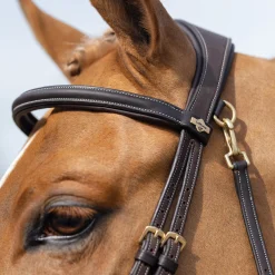 LeMieux Kudos Work Bridle