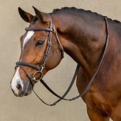 LeMieux Kudos Work Bridle