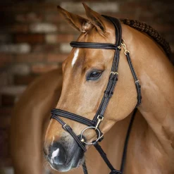 LeMieux Kudos Work Bridle