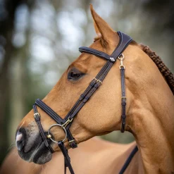 LeMieux Kudos Work Bridle