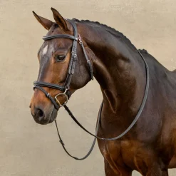LeMieux Kudos Work Bridle