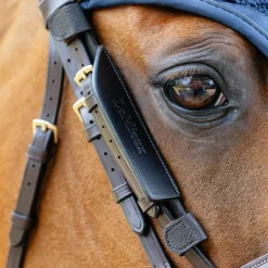 LeMieux Leather Bridle Blinkers