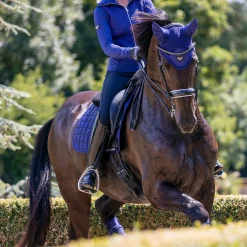 LeMieux Loire Fly Veil