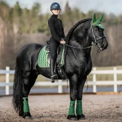 LeMieux Loire Polo Wraps