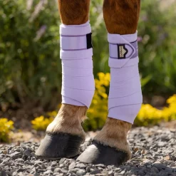 LeMieux Loire Polo Wraps