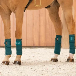 LeMieux Loire Polo Wraps