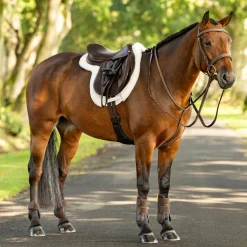 LeMieux Merino + ProSorb Hunter Saddle Pad