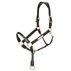 LeMieux Rope Control Halter
