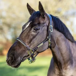 LeMieux Rope Control Halter