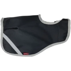 LeMieux Toy Pony Exercise Sheet