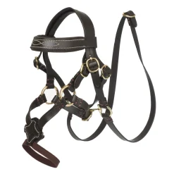 LeMieux Toy Pony Figure Eight Bridle