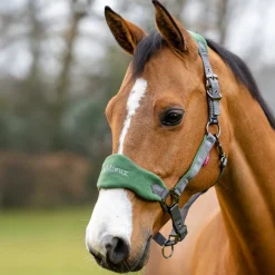 LeMieux Vogue Halter & Lead Rope