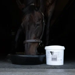 Lozana Health Psyllium Pellets 6 kg