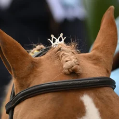 Luxy Charms Luxy Charm Pointed Forelock Crown